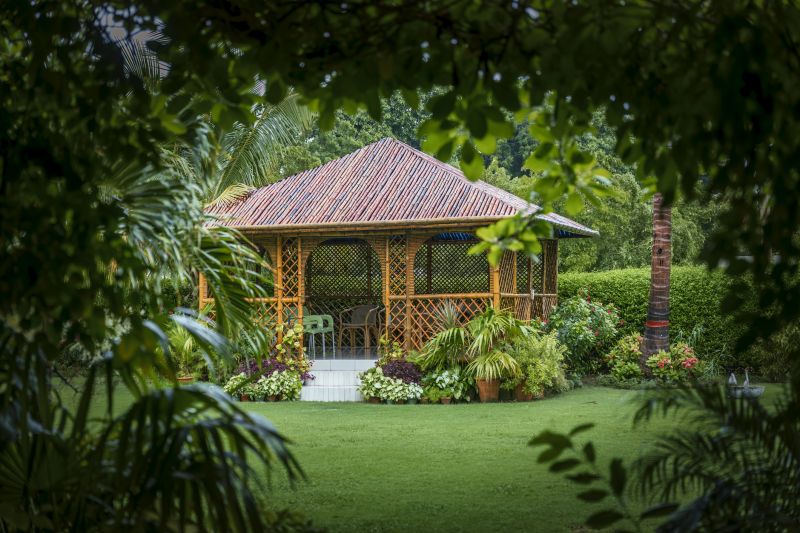 Rustic Backyard Gazebo